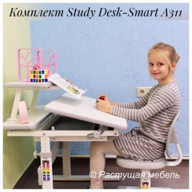 Комплект мебели парта Study Desk E202S и стул Smart А311