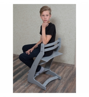 Детский регулируемый стул «ВАСИЛЁК» ВН-01 (Серый)