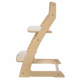 Детский регулируемый стул (растущий стул) «ВАСИЛЁК» Slim ВН-21Д  (лак)